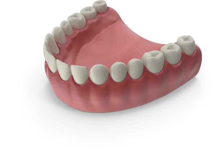 Zahnabdruck ohne Abdruckmasse – digitaler Scan beim Zahnarzt in Wien