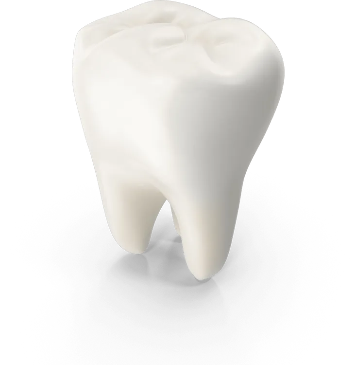 Gesunder Zahn – professionelle Zahnmedizin bei Ihrem Zahnarzt in Wien.